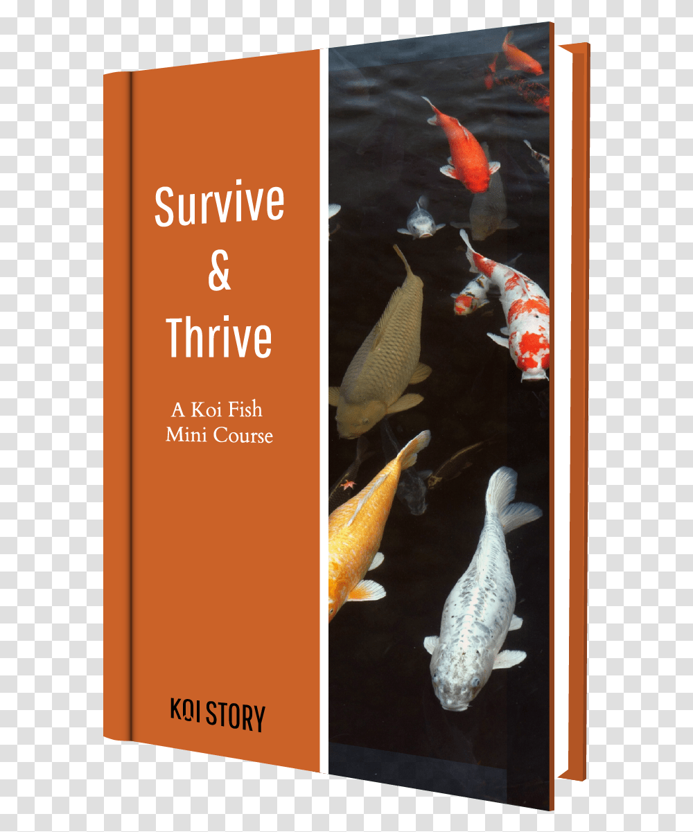 Koi Story Ebook Cover Carpe Japonaise, Fish, Animal, Bird Transparent Png