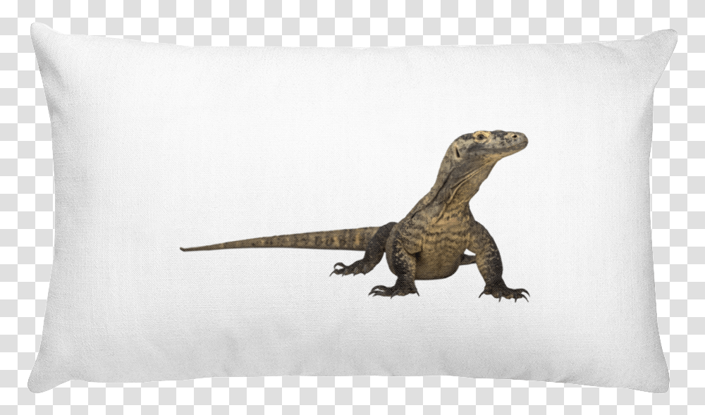 Komodo Cushion, Lizard, Reptile, Animal, Gecko Transparent Png