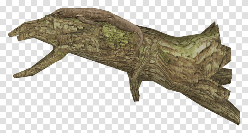 Komodo Dragon Alligator Lizard, Dinosaur, Reptile, Animal, Anole Transparent Png