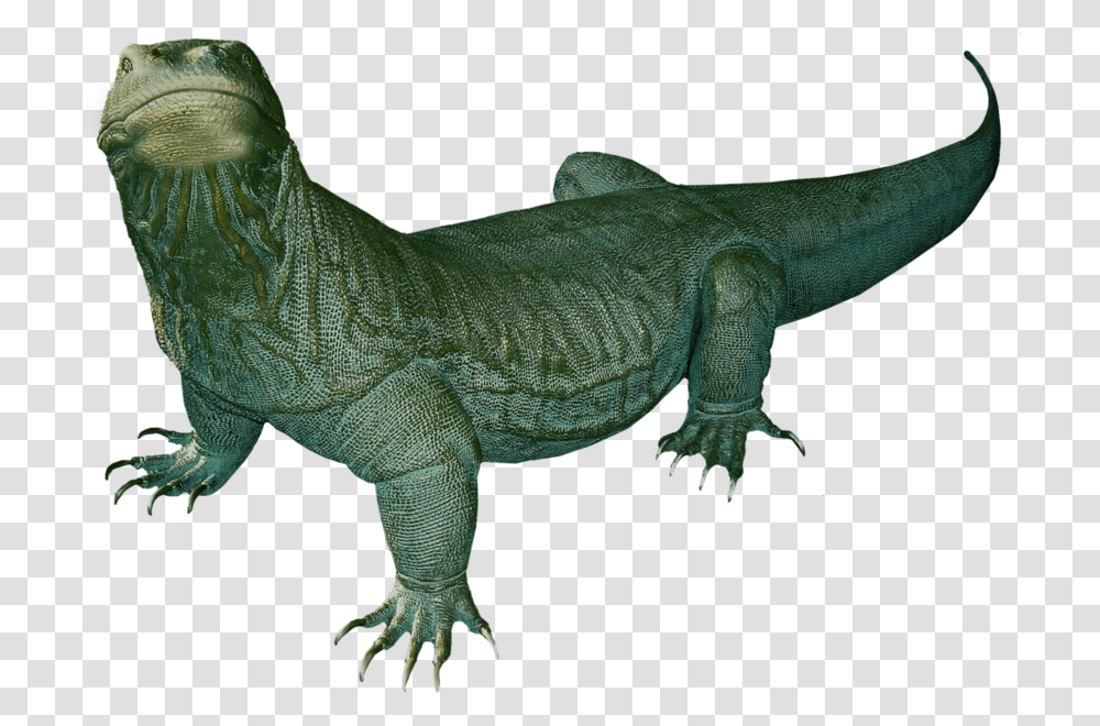 Komodo Dragon Clipart Komodo Dragon Clipart, Reptile, Animal, Lizard, Crocodile Transparent Png