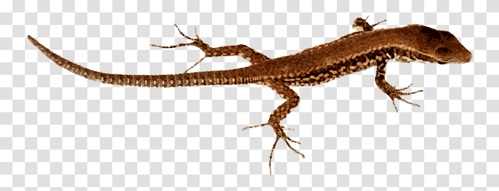 Komodo Dragon Clipart, Lizard, Reptile, Animal, Gecko Transparent Png
