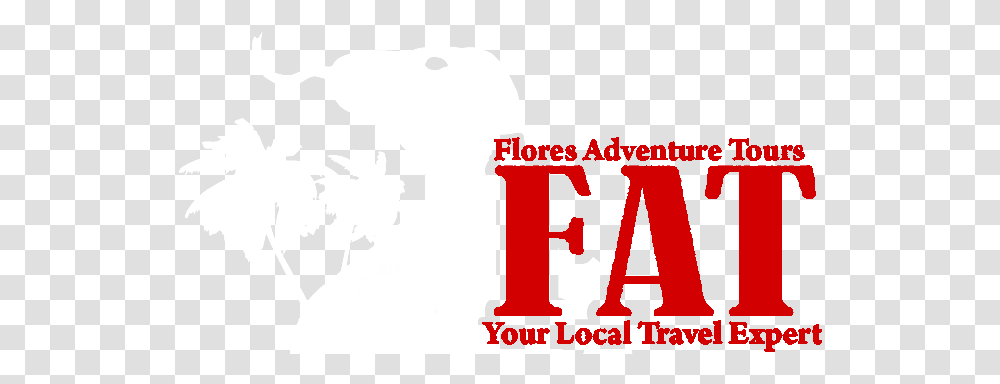 Komodo Dragon Flores Adventure Tour Bali Flores Adventure Tours, Text, Stencil, Alphabet, Logo Transparent Png