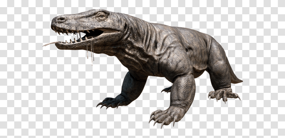 Komodo Dragon Hd Komodo Dragon, Dinosaur, Reptile, Animal, T-Rex Transparent Png