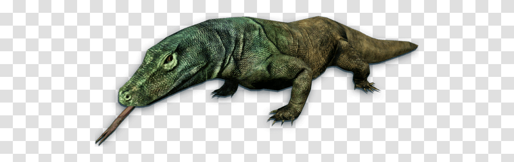 Komodo Dragon Images 14 Far Cry 3 Komodo Dragon, Reptile, Animal, Lizard, Dinosaur Transparent Png