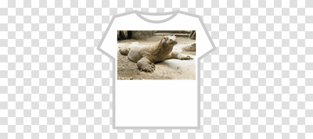 Komodo Dragon Roblox Leave Britney Alone Shirt, Iguana, Lizard, Reptile, Animal Transparent Png
