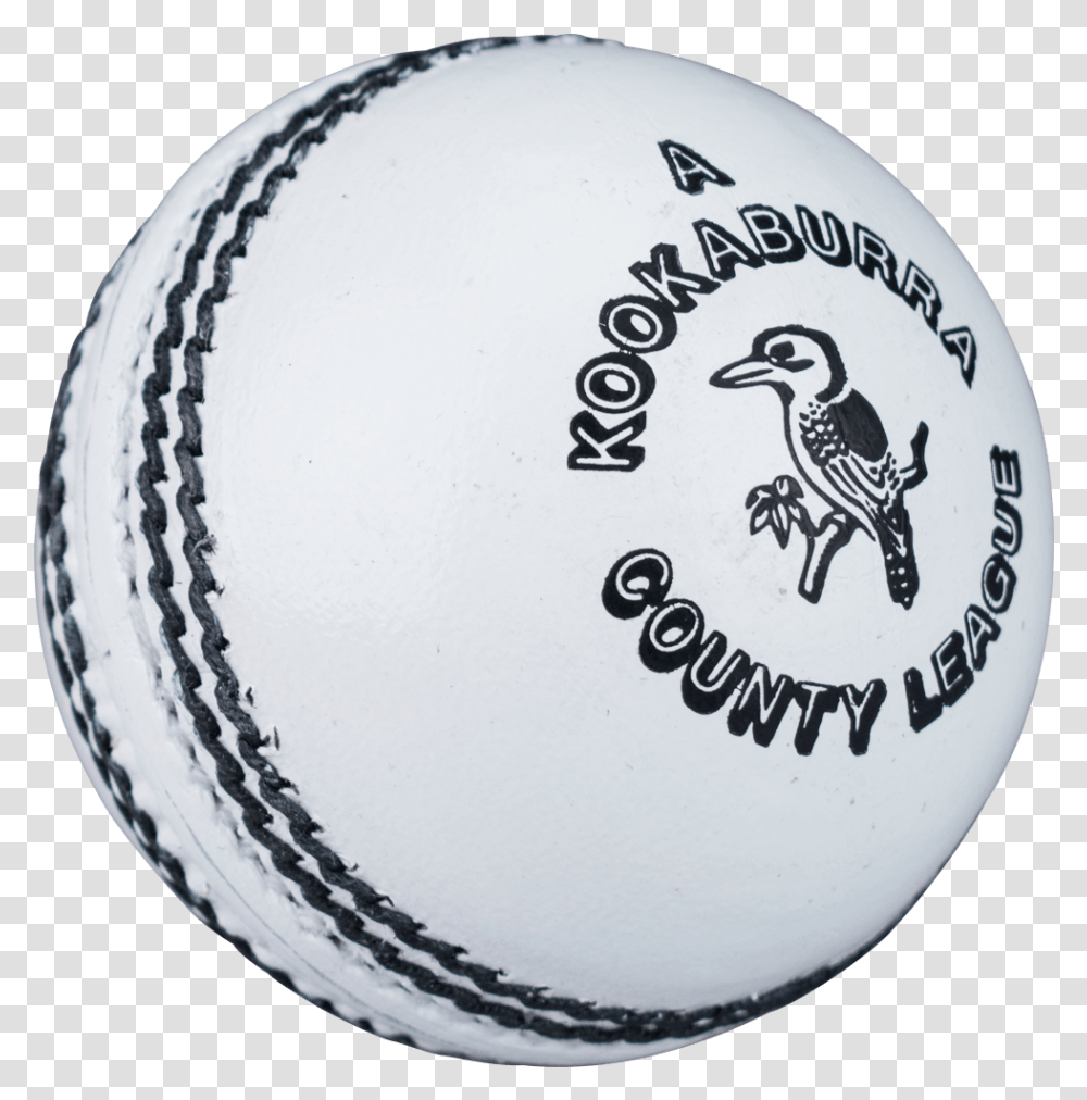 Kookaburra County League Cricket Ball Cricket White Ball Hd, Bird, Animal, Sport, Sports Transparent Png