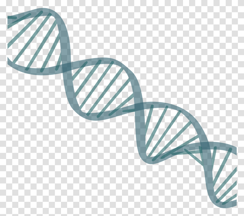 Korean Dna Strand Background, Tie, Accessories, Accessory Transparent Png