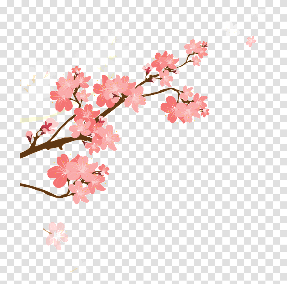 Korean Style Cherry Blossom Cartoon Cherry Blossom Cartoon, Plant, Flower Transparent Png