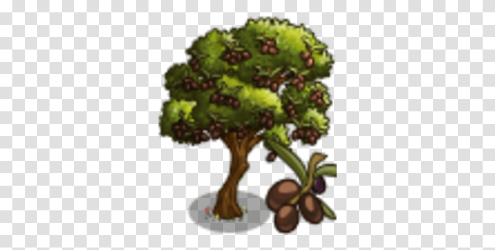 Koreneiki Olive Tree Farmville Wiki Fandom Illustration, Plant, Produce, Food, Grapes Transparent Png