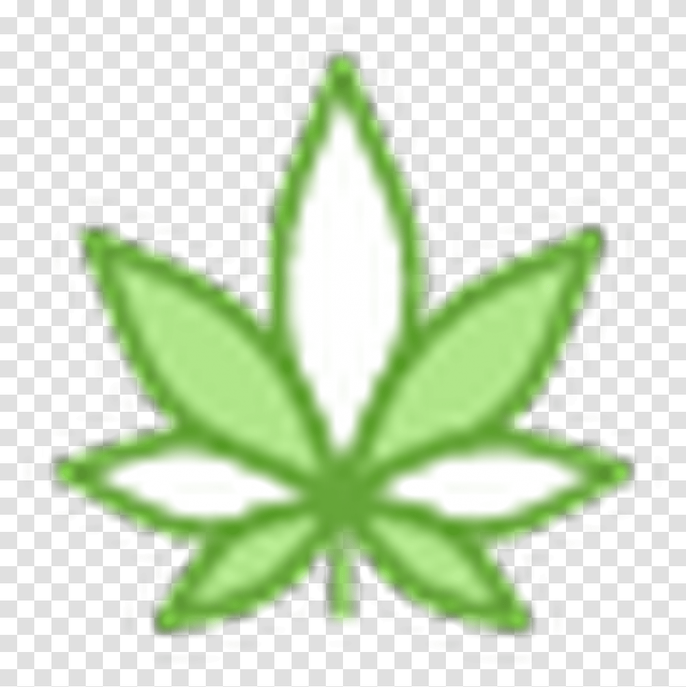 Kosher Kush Cannabis, Leaf, Plant, Weed, Flower Transparent Png