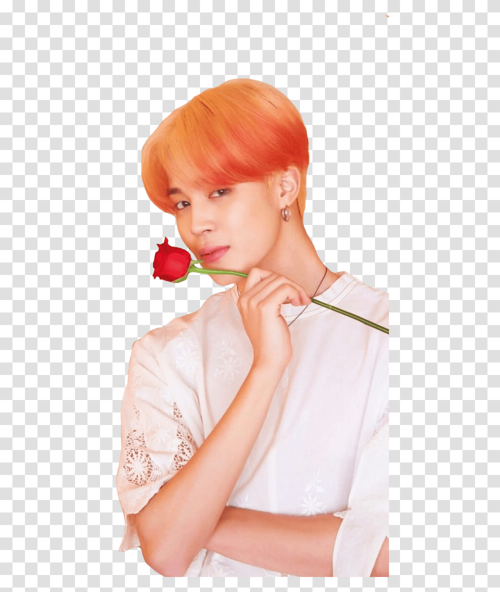 Kpop Images Jimin Map Of The Soul Persona, Rose, Flower, Plant, Blossom Transparent Png