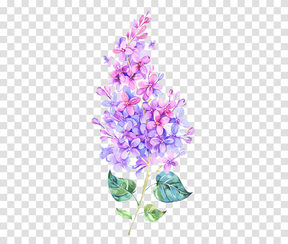 Kpopedits Kpop Kawaiililac Flower Watercolour Flower Purple Pink, Plant, Blossom Transparent Png