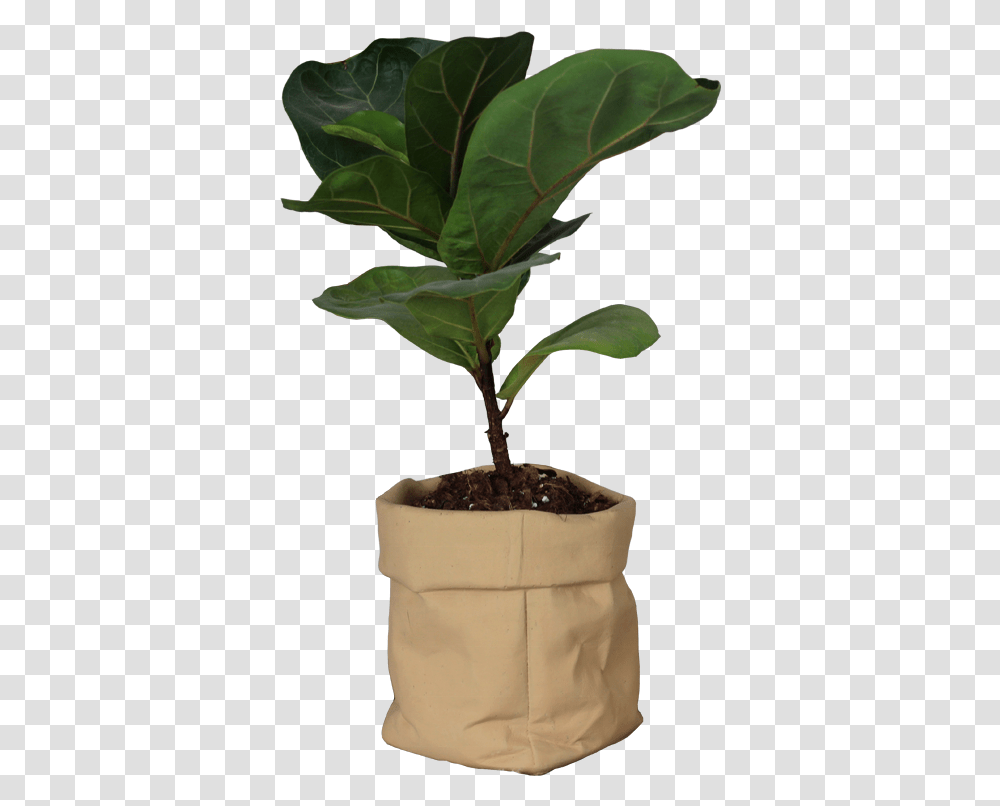 Kraft Paper Bag Design Cement Flower Pot With Paint Houseplant, Leaf, Tree, Wedding Cake, Dessert Transparent Png