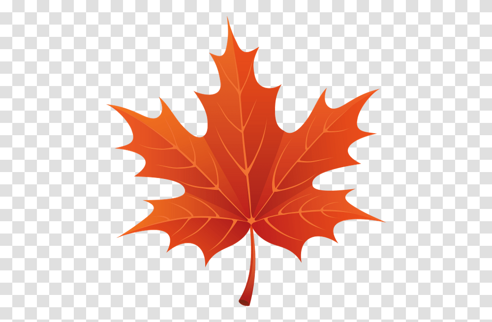 Krasnij Klenovij List Osen Kanada Red Maple Leaf Maple Leaf Clipart, Plant, Tree, Bonfire, Flame Transparent Png