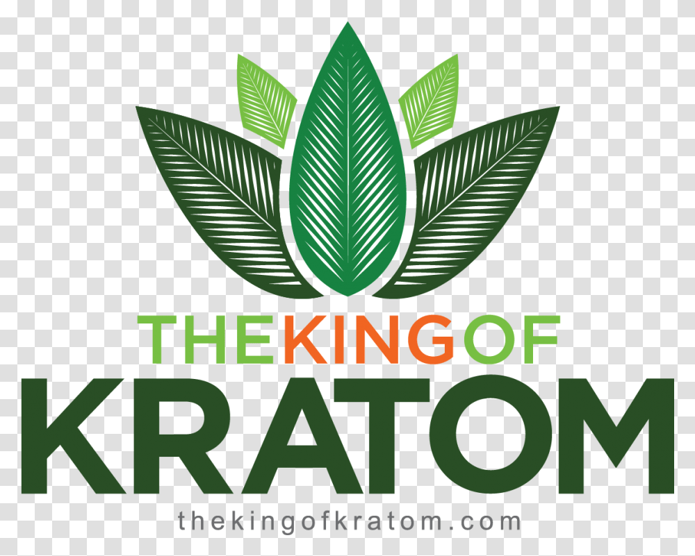 Kratom Graphic Design, Leaf, Plant, Vegetation, Green Transparent Png