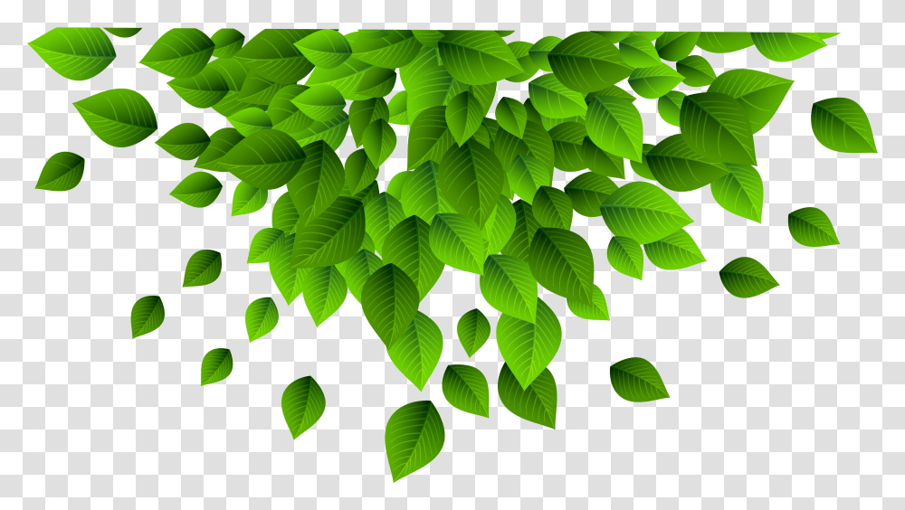 Krautner Health & Wellness Tree, Green, Leaf, Plant, Pattern Transparent Png