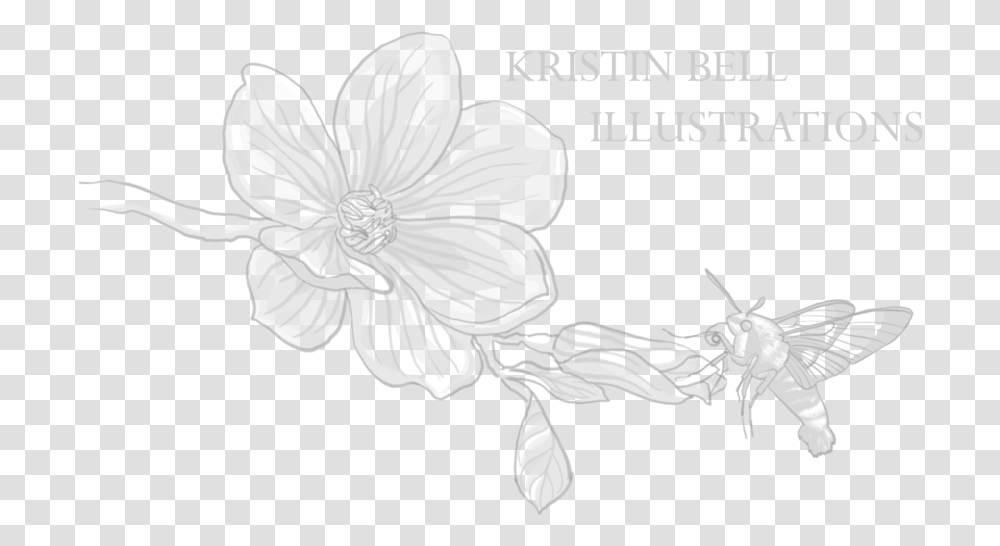 Kristen Bell, Plant, Flower, Blossom Transparent Png