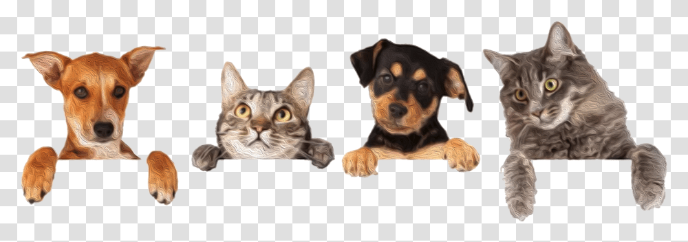 Kritter Kommunity Dog And Cat Group, Pet, Animal, Mammal, Canine Transparent Png