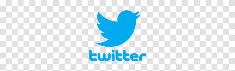Krks Twitter Account Hacked, Logo, Bird Transparent Png
