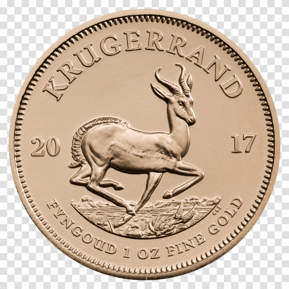 Krugerrand Coin, Money, Antelope, Wildlife, Mammal Transparent Png