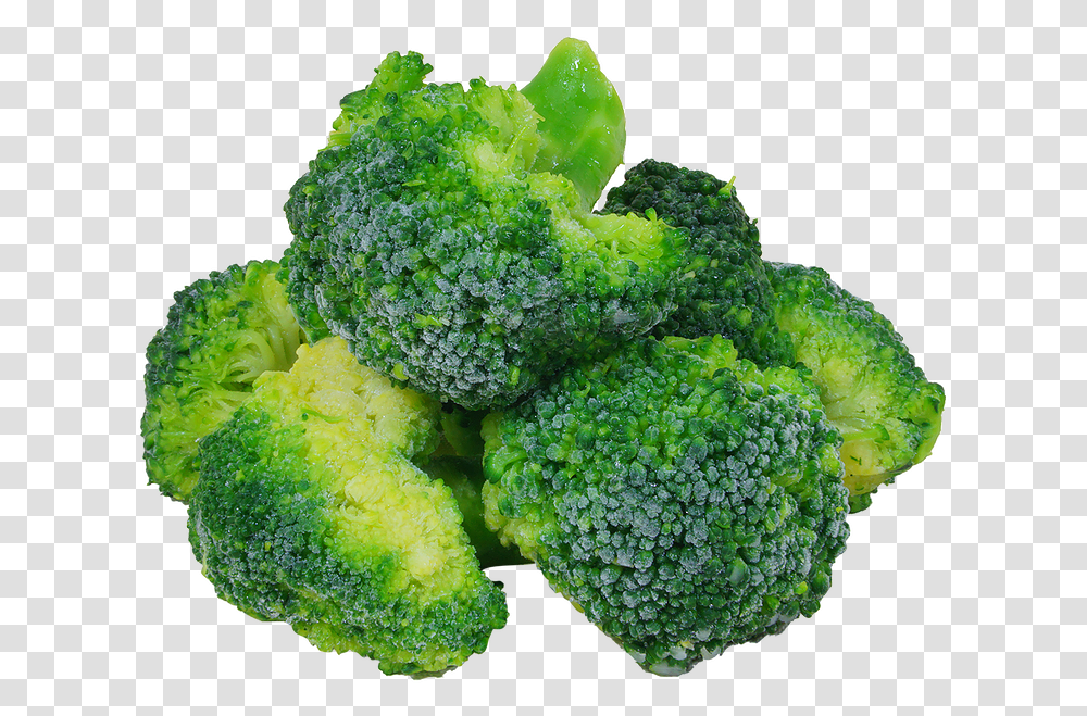 Ktfoodgroup Brocoli, Plant, Broccoli, Vegetable Transparent Png