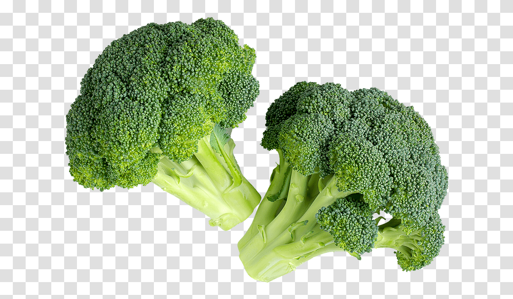 Ktfoodgroupcom Home Of Quality Food Brocoli, Broccoli, Vegetable, Plant Transparent Png