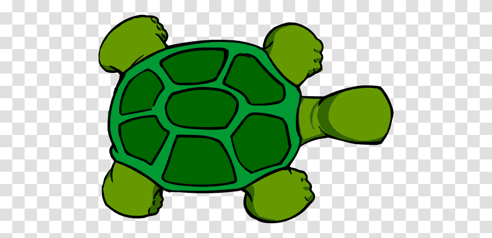 Kturtle Top View Clip Art, Soccer Ball, People, Tortoise, Animal Transparent Png