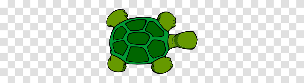 Kturtle Top View Clip Art, Soccer Ball, People, Tortoise, Sea Life Transparent Png