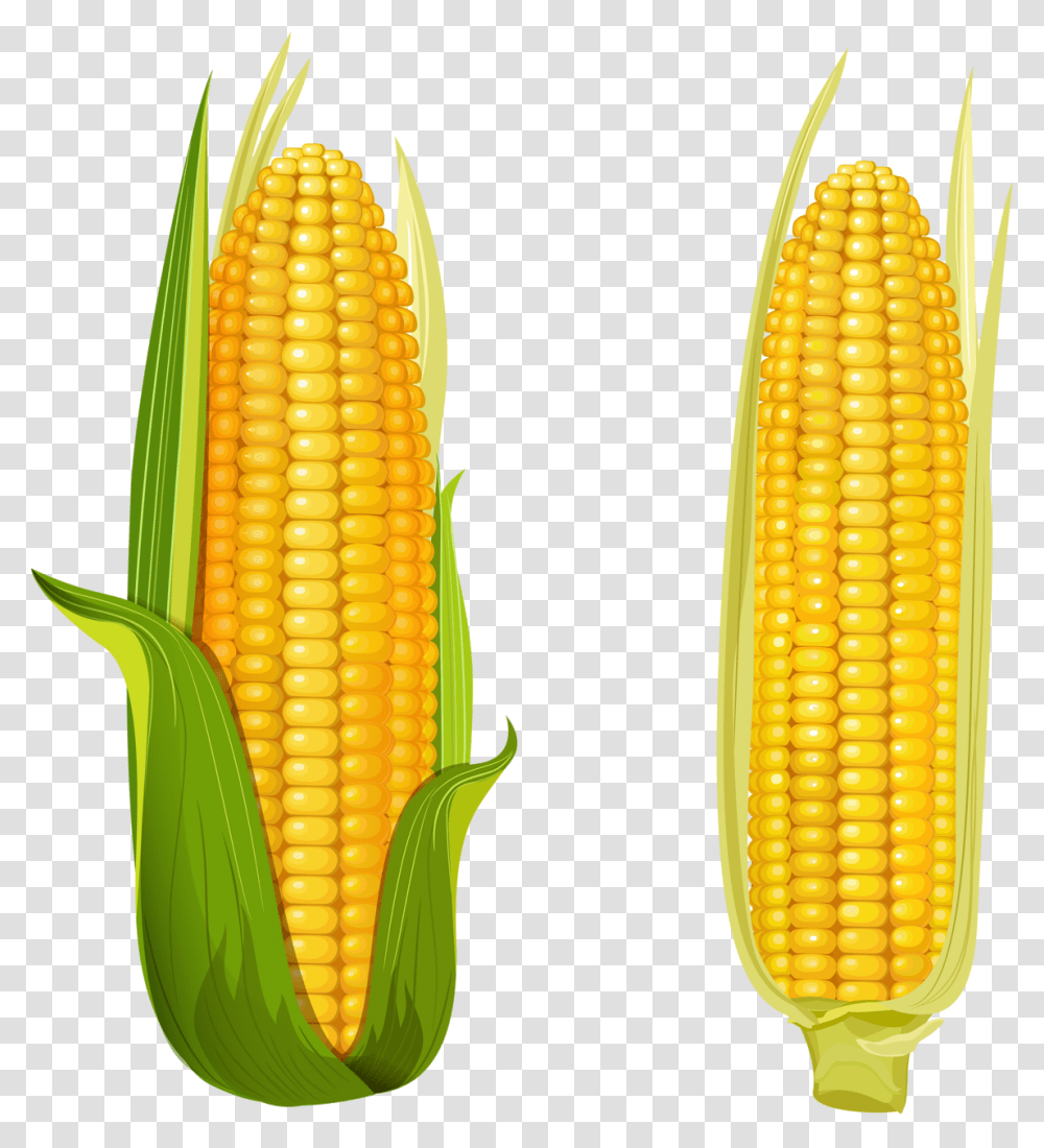 Kukuruza, Plant, Corn, Vegetable, Food Transparent Png