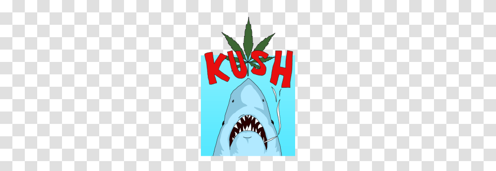 Kush, Great White Shark, Sea Life, Fish, Animal Transparent Png