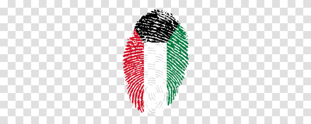 Kuwait Person, Plant, Tree, Brick Transparent Png