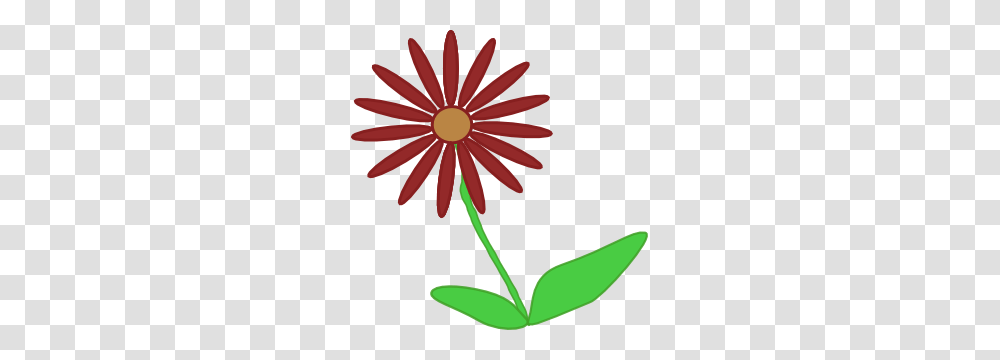 Kvetina Clip Art, Daisy, Flower, Plant, Daisies Transparent Png