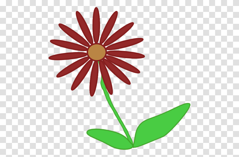 Kvetina Clip Art, Plant, Daisy, Flower, Daisies Transparent Png