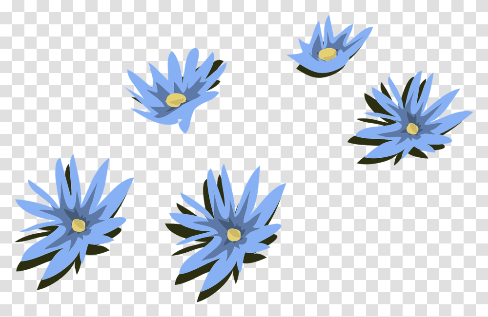 Kwiaty Niebieskie, Plant, Flower, Blossom, Daisy Transparent Png
