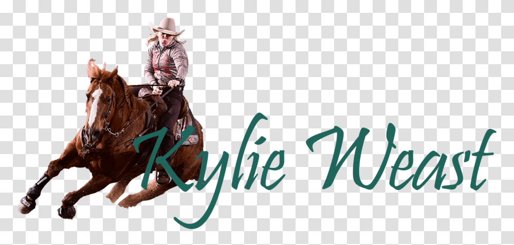 Kylie Logo Smaller3 Equitation, Person, Horse, Mammal Transparent Png