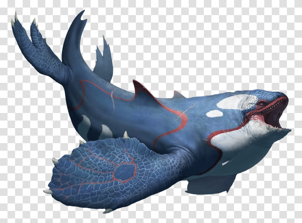 Kyogre Arvalis Pokemon Kyogre In Real Life, Dragon, Person, Human Transparent Png