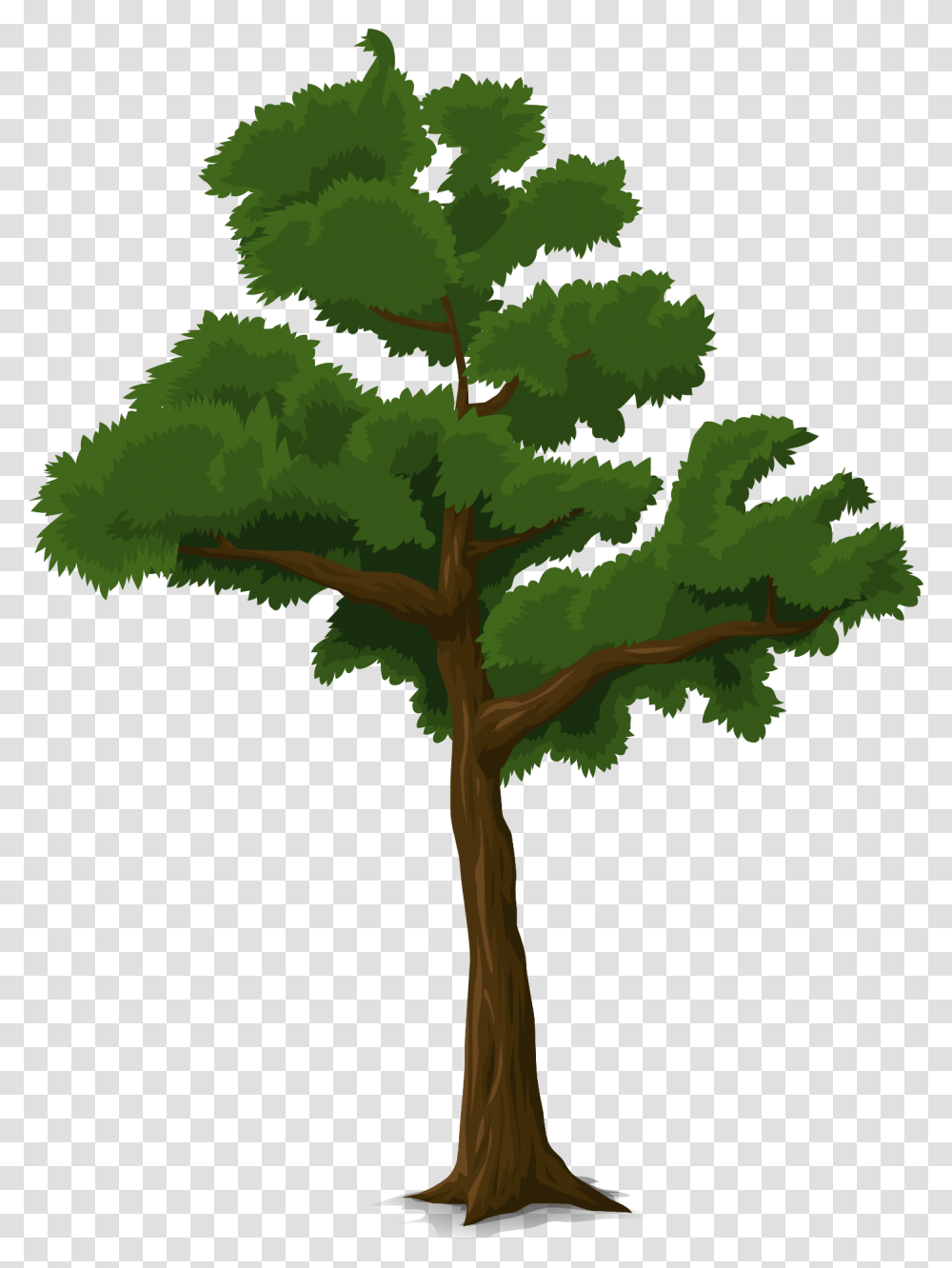 L 2944047872 Branches Of Trees Forest Wallpaper V13 Draw A Tree In Code Org, Plant, Cross, Vegetation, Leaf Transparent Png
