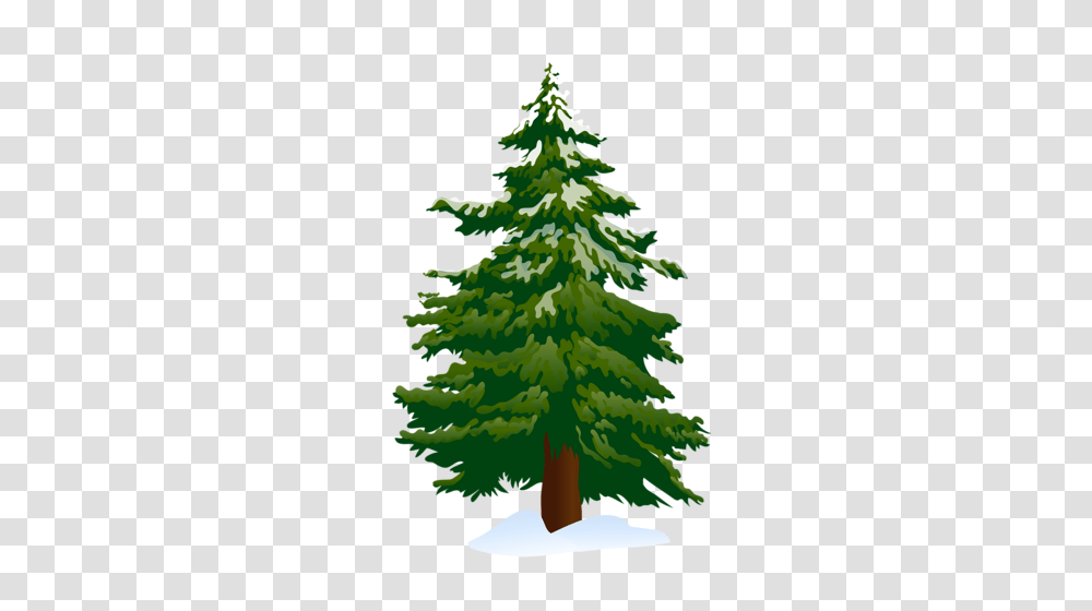 L Derevo, Tree, Plant, Pine, Ornament Transparent Png