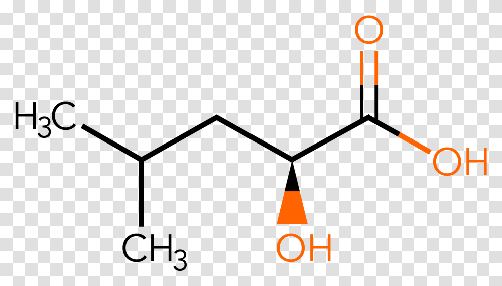 L Phenyllactic Acid, Outdoors, Light, Alphabet Transparent Png