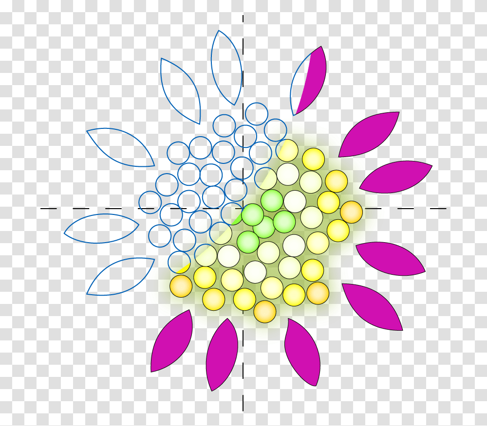 L System Flower Logo Flower, Graphics, Art, Floral Design, Pattern Transparent Png