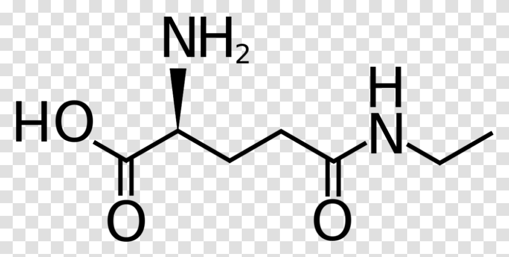 L Theanine Molecule L Aspartic Acid, Gray, World Of Warcraft Transparent Png