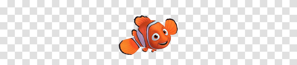 La Adventura De Nemo, Fish, Animal, Goldfish, Amphiprion Transparent Png