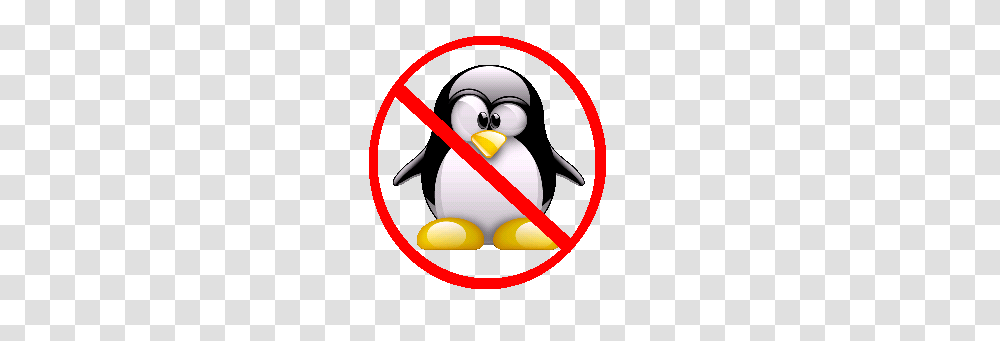 La Esquina De Un Migrante A Linux Linux Is Not For Everyone, Bird, Animal, Penguin, Swallow Transparent Png