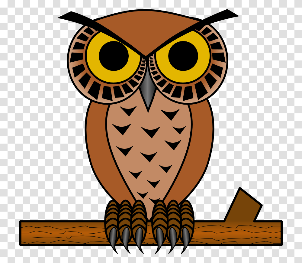 La Filosofia, Animal, Owl, Bird, Wildlife Transparent Png