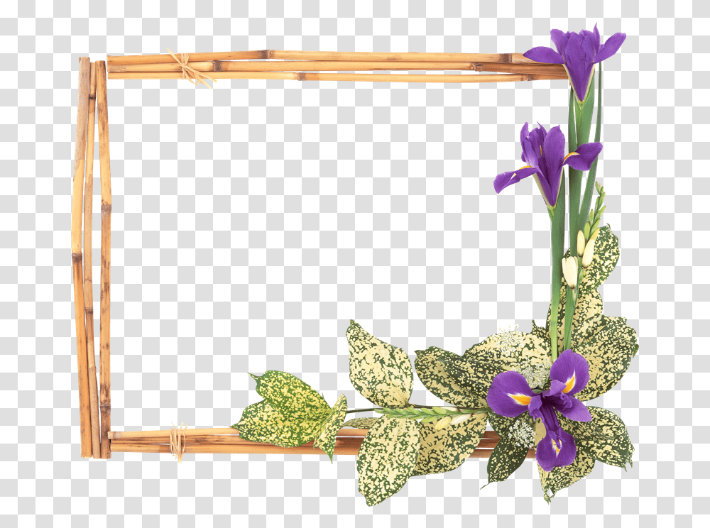 La Muli Ani De Sf Maria, Plant, Flower, Blossom, Flower Arrangement Transparent Png