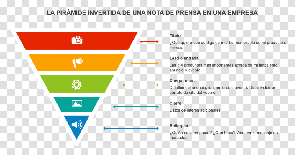 La Nota De Prensa De La Empresa Debe Ser Una Pirmide Phylum Definition Biology, Number, Triangle Transparent Png