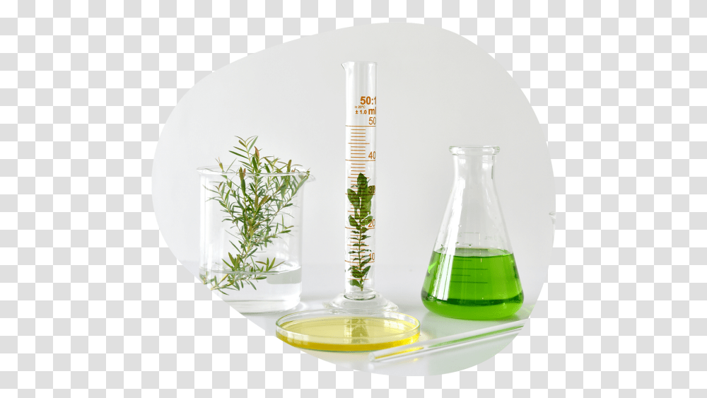 Lab Beaker With Botanical, Jar, Vase, Pottery, Potted Plant Transparent Png