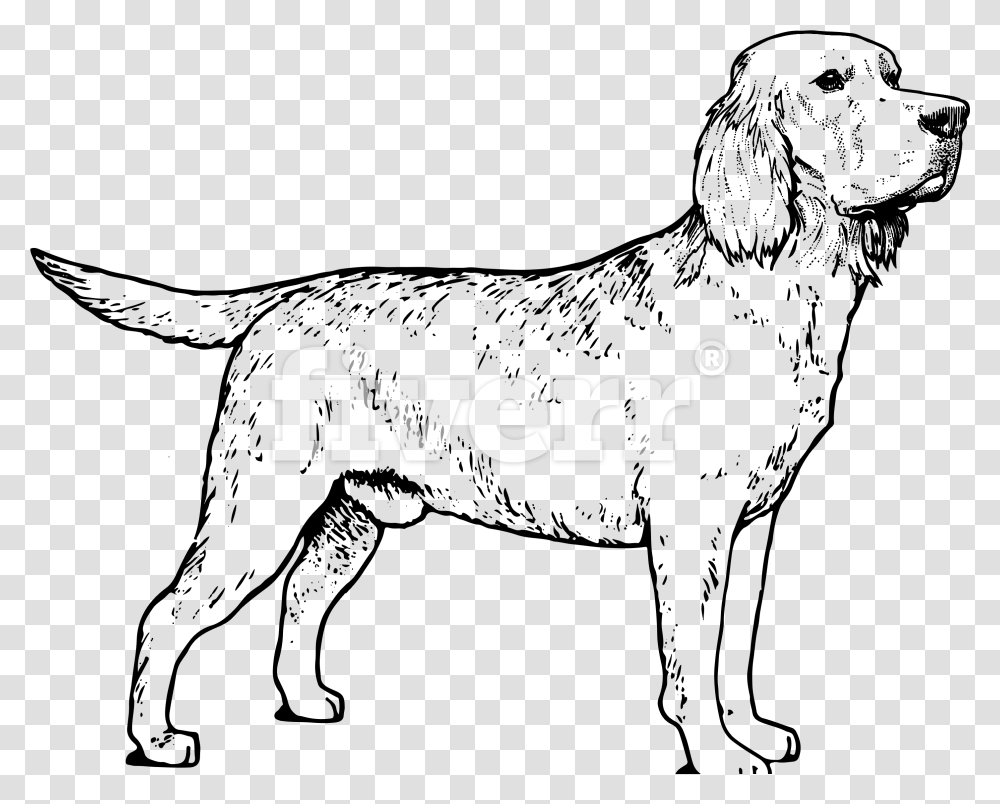 Lab Labrador Retriever, Logo, Trademark Transparent Png