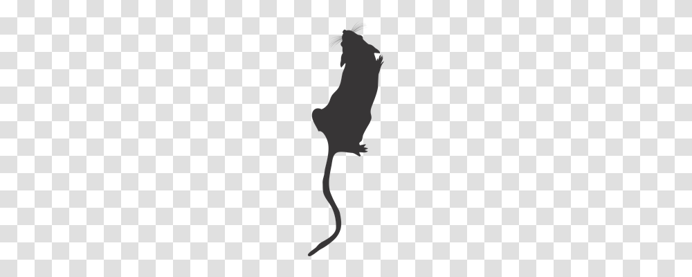 Lab Mouse Top View Silhouette, Person Transparent Png