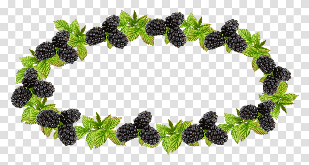 Label Blackberry Preserves Blackberry Border, Plant, Leaf, Grapes, Fruit Transparent Png